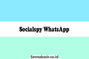 Socialspy-WhatsApp