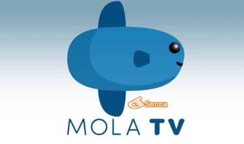 Penyebab Aplikasi Mola TV Streaming Lebih Bagus