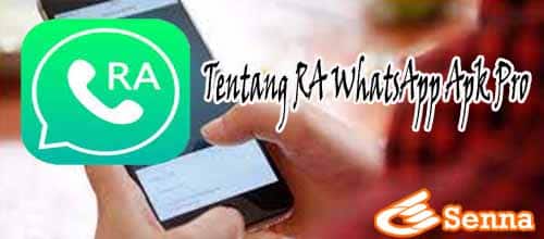 Tentang RA WhatsApp Apk Pro