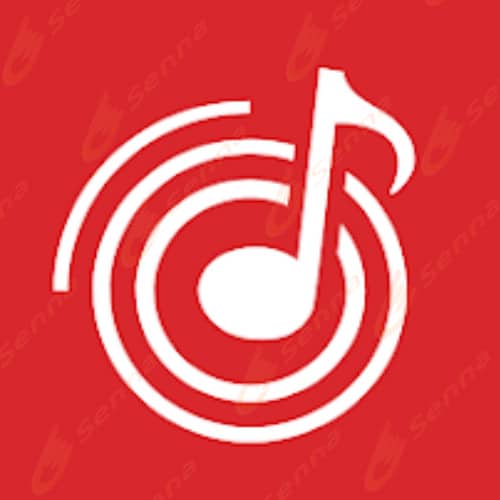 Wynk Music Apk Android Logo