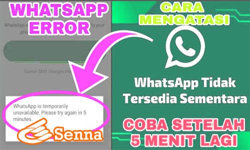 Apa Penyebab & Cara Mengatasi Whatsapp Error