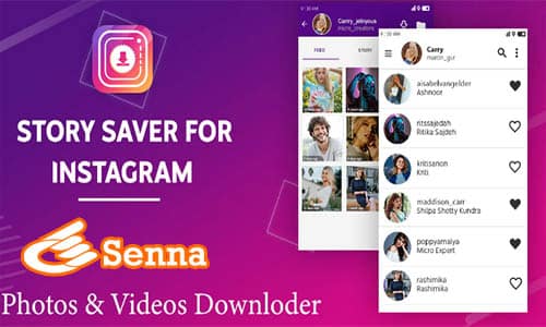 Story Saver Download Video Instagram