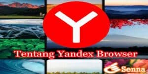 Tentang Videos Yandex Browser