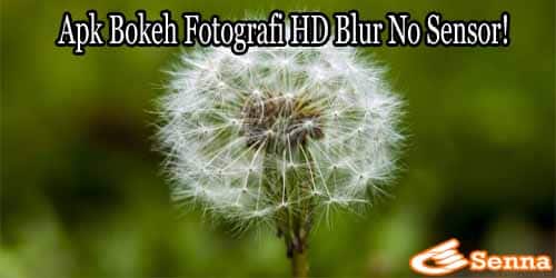 Fotografi HD Blur No Sensor!