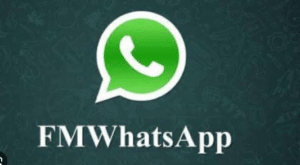 FM WhatsApp Mod Apk Download Terbaru 2023 (Anti Banned)
