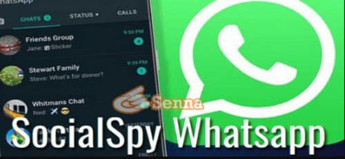 Fitur Yang Tersedia Di Scoopy WhatsApp