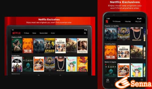 Nonton Di Netflix Mod Apk Unlock Premium, Banyak Keuntungannya