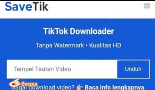Savetik App Platform Download Video & Mp3 Tiktok Tanpa Watermark