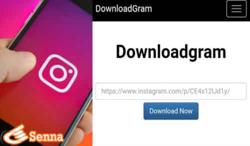Penjelasan Tentang Situs Downloadgram Download Video Instagram
