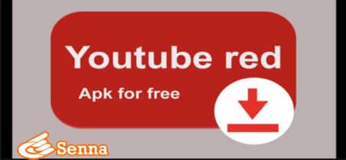 Perbedaan YouTube Red APK Dengan Youtube Original Terbaru 2023