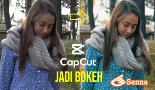 Capcut Editor Video Bokeh