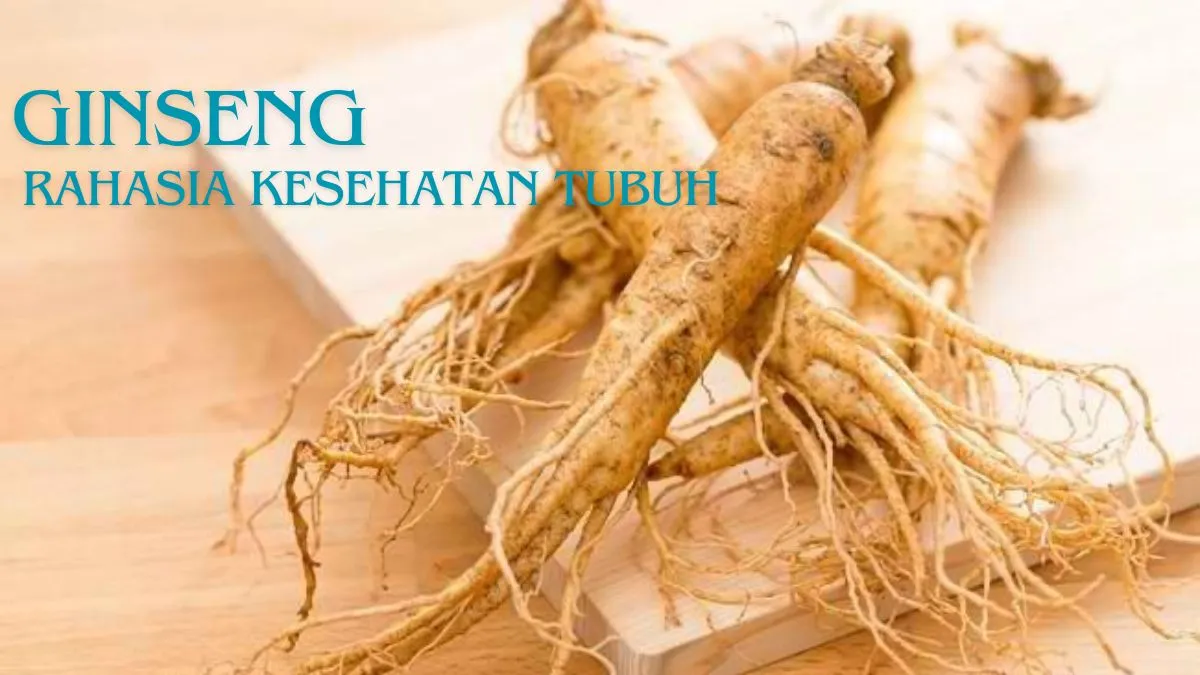 Keajaiban Ginseng: Rahasia Kesehatan Tubuh Anda!