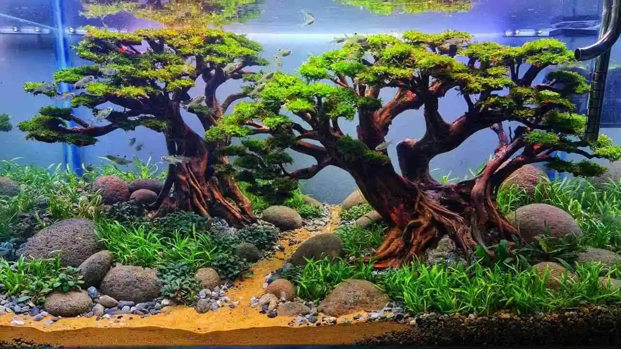 Cocok untuk Pemula! Tanaman Aquascape yang Mudah Dirawat