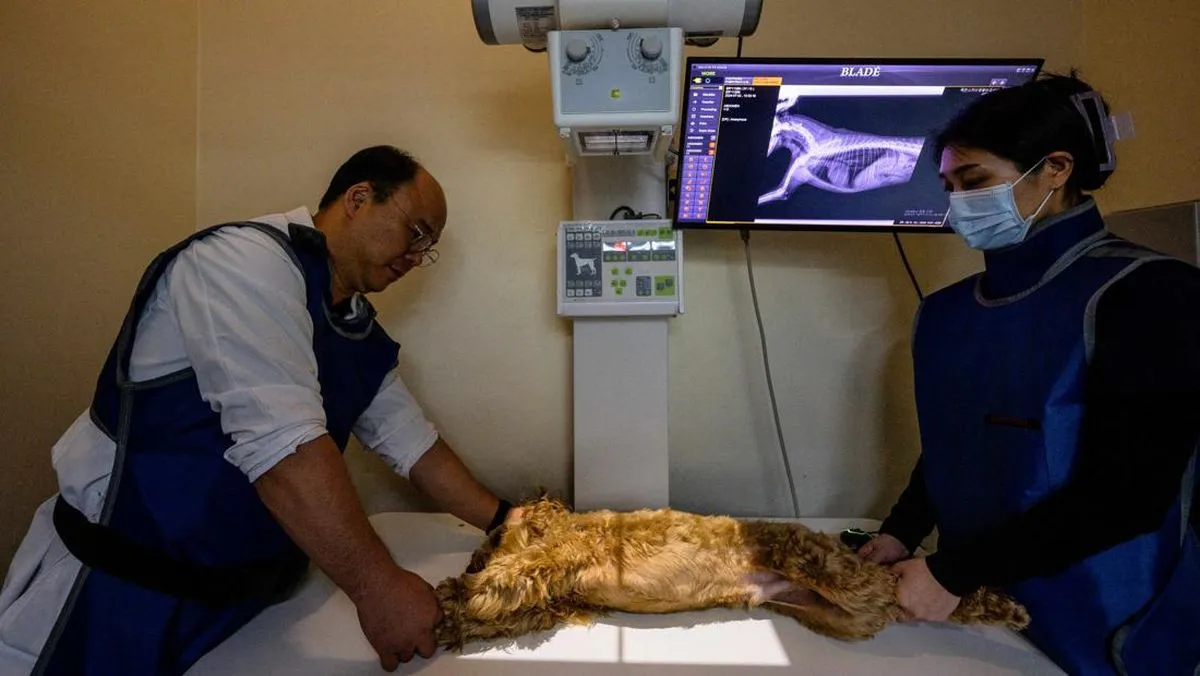 Kecanggihan AI Di Korea Bisa Mendiagnosa Anjing Anabul