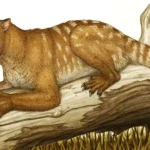 Marsupial Purba Tak Berubah