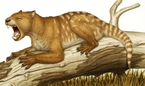 Marsupial Purba Tak Berubah