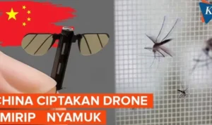 Hewan Penglihatan Terbaik Dunia