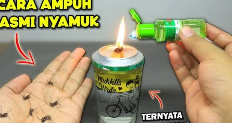 pewangi alami pengusir nyamuk