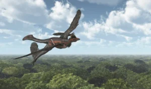 Microraptor menghadapi predator