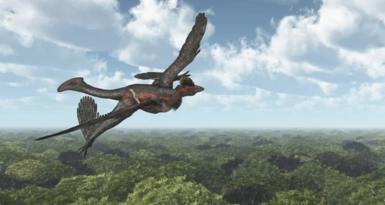 Microraptor menghadapi predator