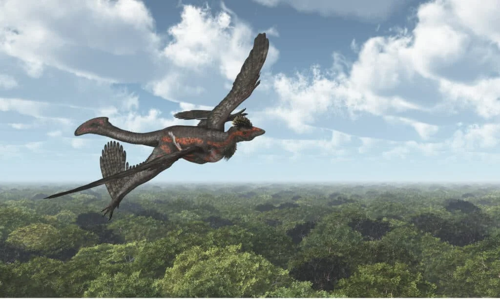Microraptor menghadapi predator