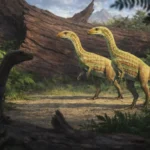Sonselasuchus mirip ornithomimid