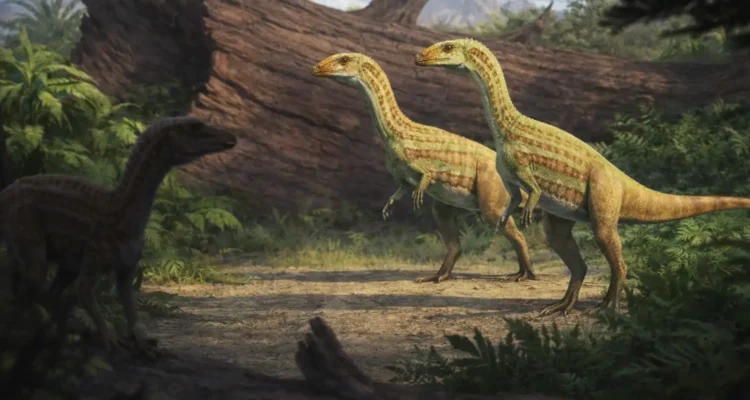 Sonselasuchus mirip ornithomimid