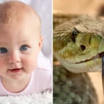 anak takut pada ular