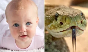 anak takut pada ular