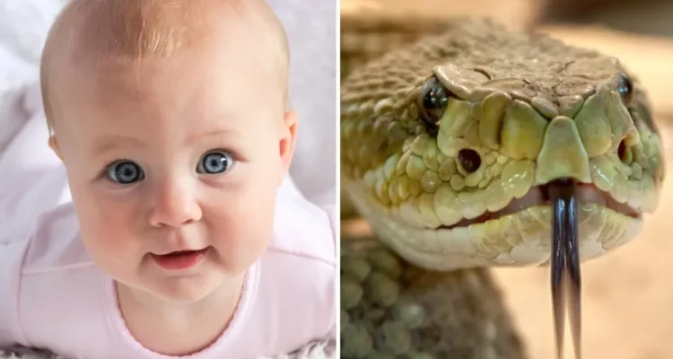 anak takut pada ular