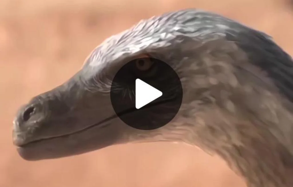 Microraptor menghadapi predator