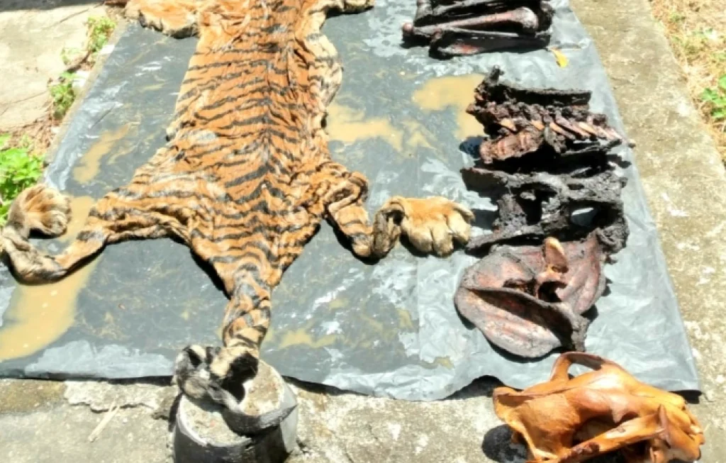 Perdagangan Satwa Liar