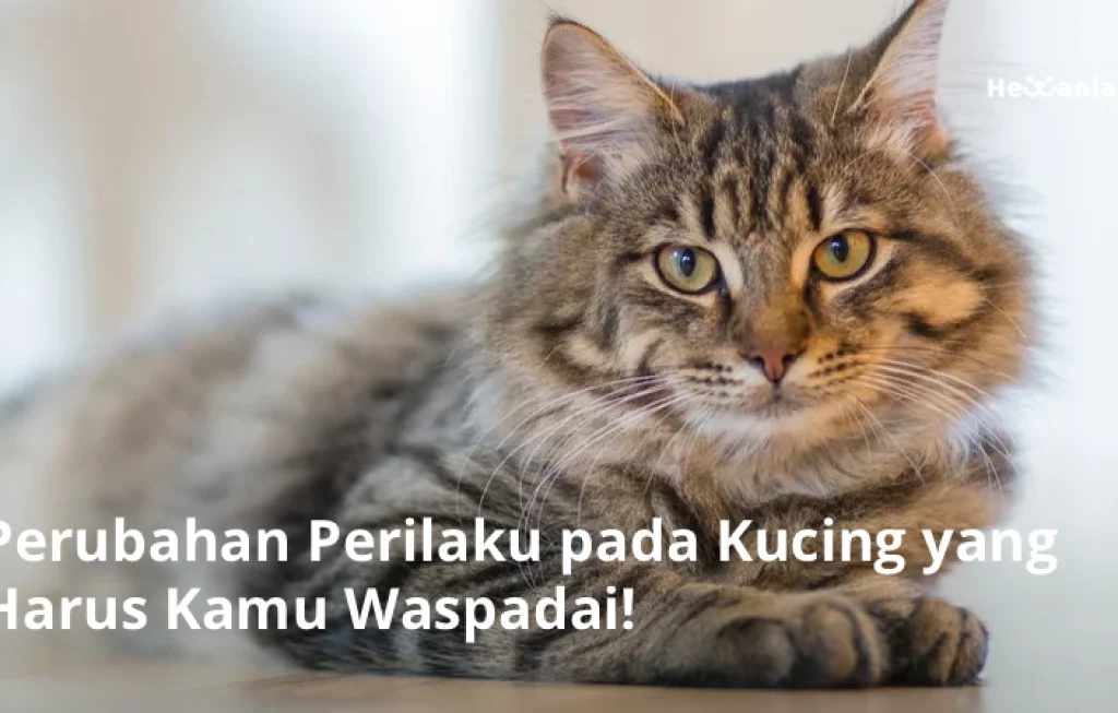 perubahan perilaku hewan