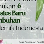 6 spesies endemik baru