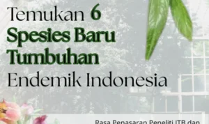 6 spesies endemik baru