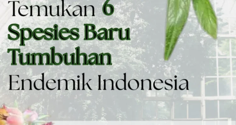 6 spesies endemik baru