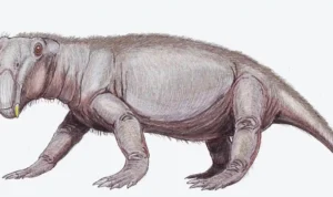 Lystrosaurus mirip babi
