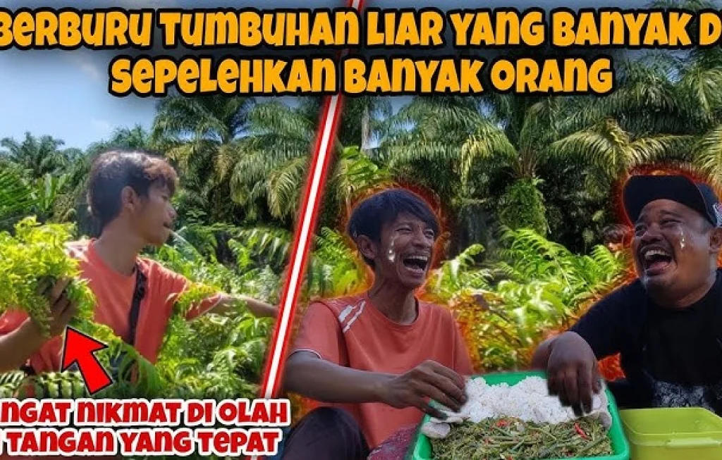 berburu tumbuhan liar