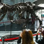 dinosaurus merasakan sakit