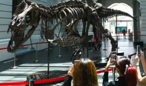 dinosaurus merasakan sakit