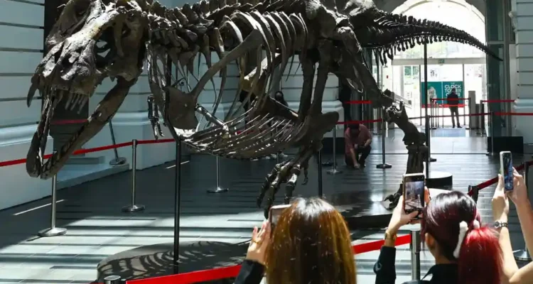 dinosaurus merasakan sakit