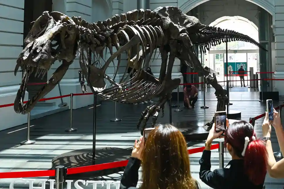 dinosaurus merasakan sakit