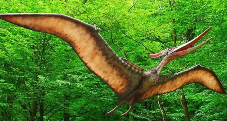 Dinosaurus punya sayap