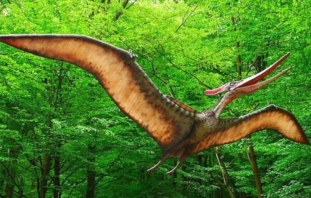 Dinosaurus punya sayap