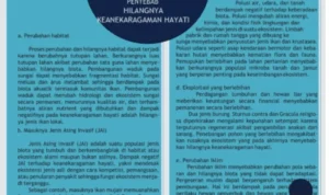 Hilangnya Hewan Penyerbuk