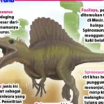Kaki Panjang T. rex