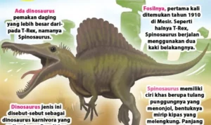 Kaki Panjang T. rex