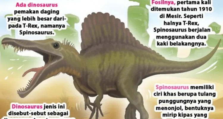 Kaki Panjang T. rex