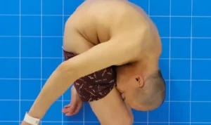 Lystrosaurus mirip babi