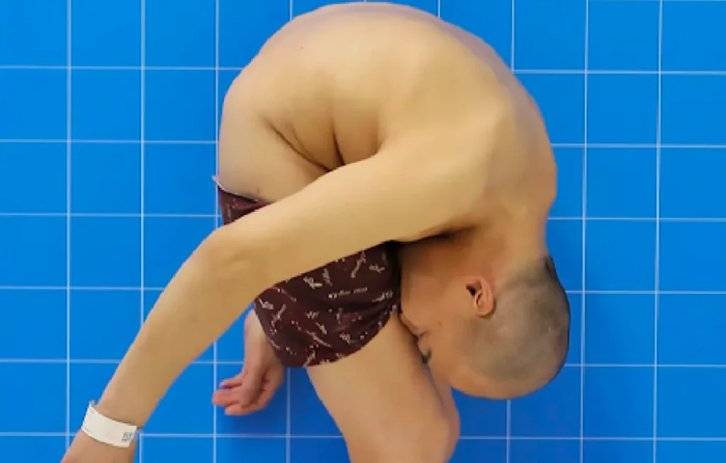 Lystrosaurus mirip babi